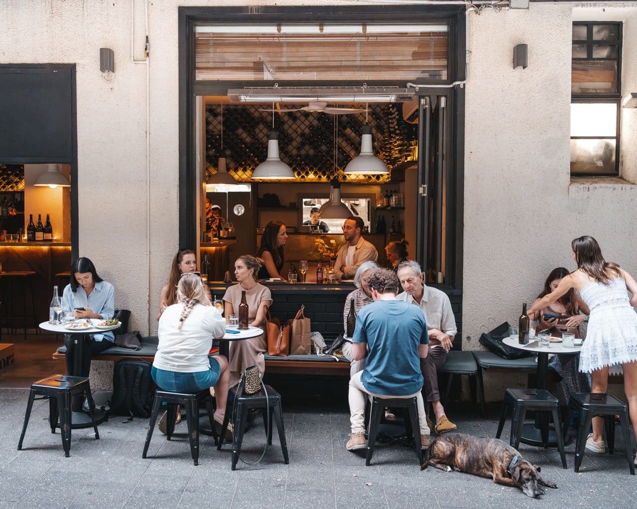 DSE Web Size42 Large.jpeg